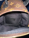 Palm Springs mini backpack